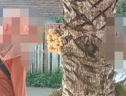 Jelang Lebaran, “Panglima” Buat Sosok Istri Pilu