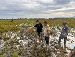 Personal Polres Polman bersama Jajaran Polsek Wonomulyo dan Subsektor Mapilli Mendatangi TKP Penemuan Mayat di Desa Kurma