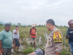 Personil Polres Polman Olah TKP Penemuan Mayat di Sawah