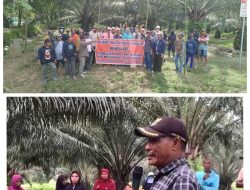 Masyarakat Towiora Duduki Lahan PT LTT, Tuntut Pengembalian lahan Milik masyarakat Towiora