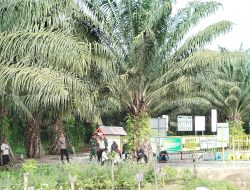 Warga Towiora Minta PT LTT Hentikan Aktivitas Panen di Lahan Sengketa