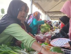 Gerakan Pangan Murah Pemprov Sulbar Warnai CFD Mamuju, Warga Antusias Berburu Sembako Terjangkau