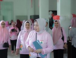 Semarak HUT RI : Staf Ahli PKK Sulbar Teliti Kerapihan dan Kreativitas Kantor OPD