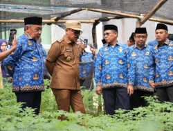 Gubernur Sulbar Tinjau Pembibitan Komoditas Pangan Dinas Ketapang, Siap Dibagikan ke Masyarakat