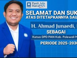 Ahmad Junaedi Azis Nahkodai DPD PAN Polewali Mandar