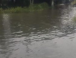 Banjir Kembali Rendam Pasangkayu, Kegagalan Tata Drainase Dipertanyakan
