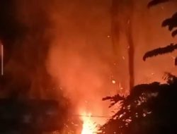 Api dari Perbukitan Membakar 1,5 Hektare Lahan di Campalagian Malam Hari