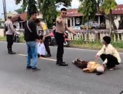 Laka Ganda di Depan Polsek Wonomulyo, Pesepeda 78 Tahun Dilarikan ke RS