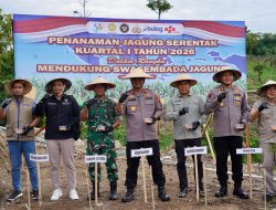 DTPHP Sulbar Hadiri Tanam Raya Jagung Serentak, Dukung Swasembada Pangan Nasional