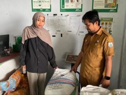 UPTD BBTPH Sulbar Kirim Benih Jagung Komposit ke Medan, Dukung Swasembada Pangan Nasional
