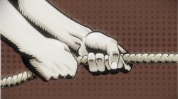 Seret Nama “R”, Dugaan Suap Dapur MBG di Sulbar : Fakta vs Persepsi “Bisa Saja Bagian Dinamika Politik”