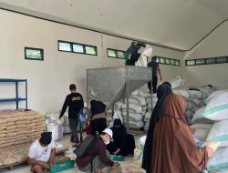 Benih Padi Bermutu Produksi UPTD BBTPH Siap Disalurkan untuk Dukung Ketahanan Pangan 