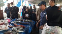 Wujudkan Ikan Sehat dan Berkualitas, Pemprov Sulbar Edukasi Pedagang PPI Binanga Lawan Zat Kimia Berbahaya