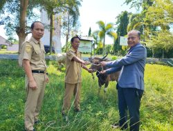 Wujud Kepedulian Sosial, Disperkimtanhub Sulbar Berpartisipasi dalam Ibadah Kurban