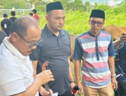 Karo Pemkesra Sulbar Dampingi Gubernur Laksanakan Penyembelihan Hewan Kurban di Halaman Rujab